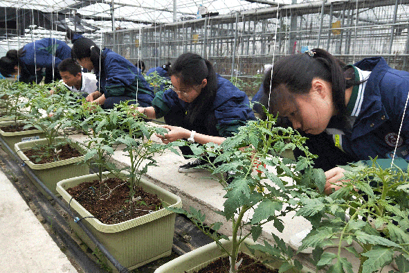 果蔬种植实训